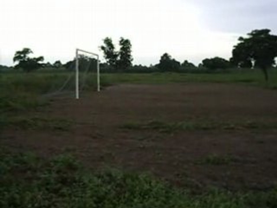 SDC10840