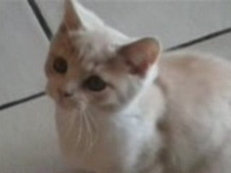 Dell le 29 septembre 2008