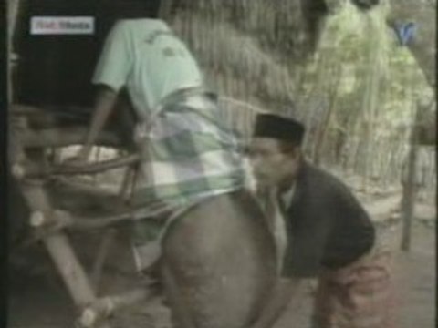 sa c'est des couilles : impréssionant !