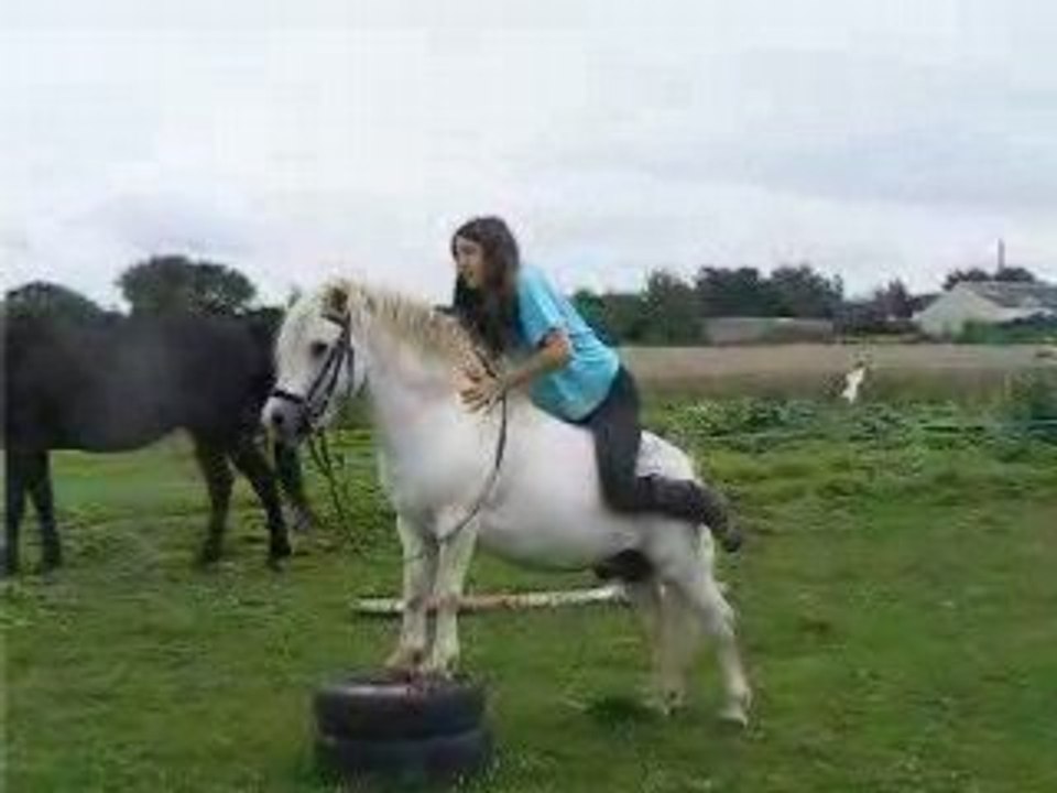 DSCF2053