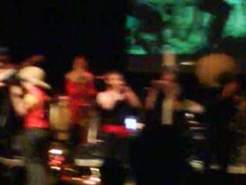 trompettes du mozambiques