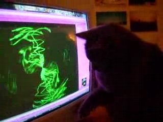 nala délire devant d'ordi