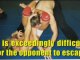 Brazilian Jiu Jitsu Moves|Triangle Chokes|Ryan Hall|MMA