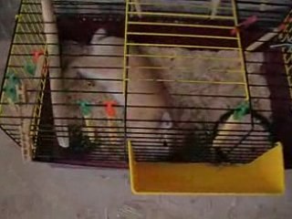 Apres l'effort, le réconfort