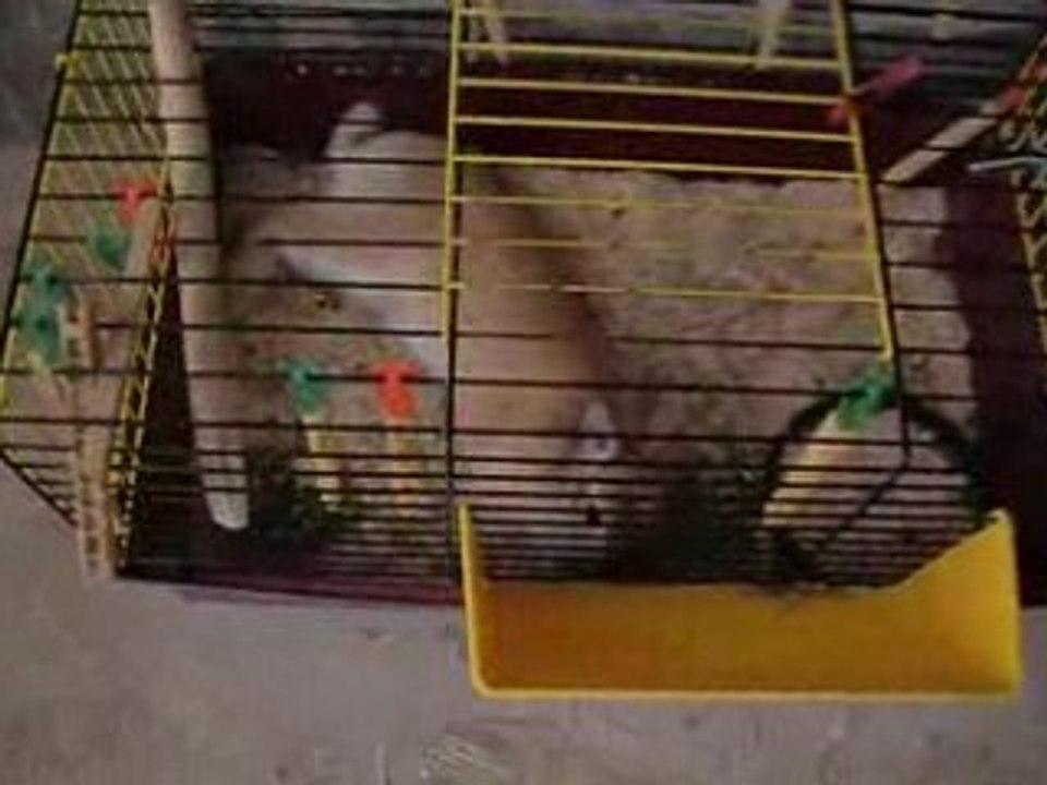 Apres l'effort, le réconfort