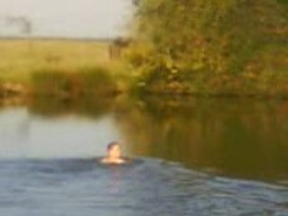 Video mare