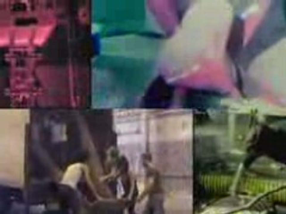 MGMT - Making of - Electric Feel