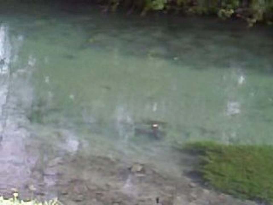 truite de la rive