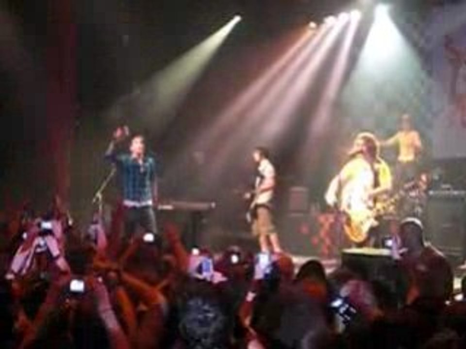 Killerpilze (28.09.08)