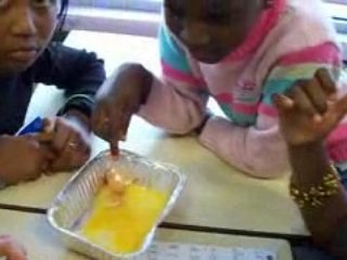 Sciences (la naissance des animaux)