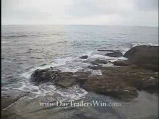 N16 Online Stock Trading Coach