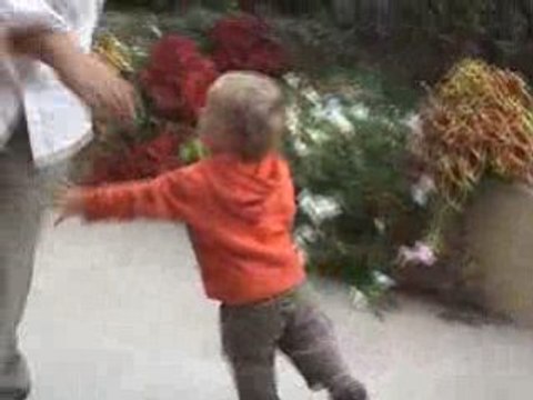 Tourne, tourne, vire et tombe!