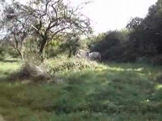 trec gué fossés