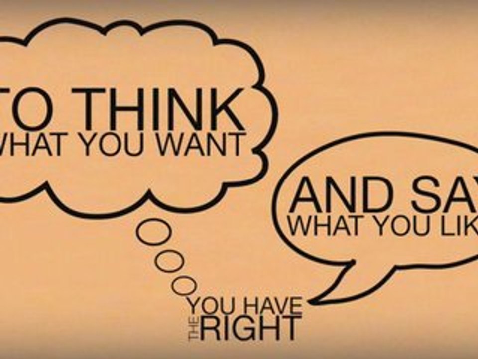 The Universal Declaration of Human Rights by Seth Brau