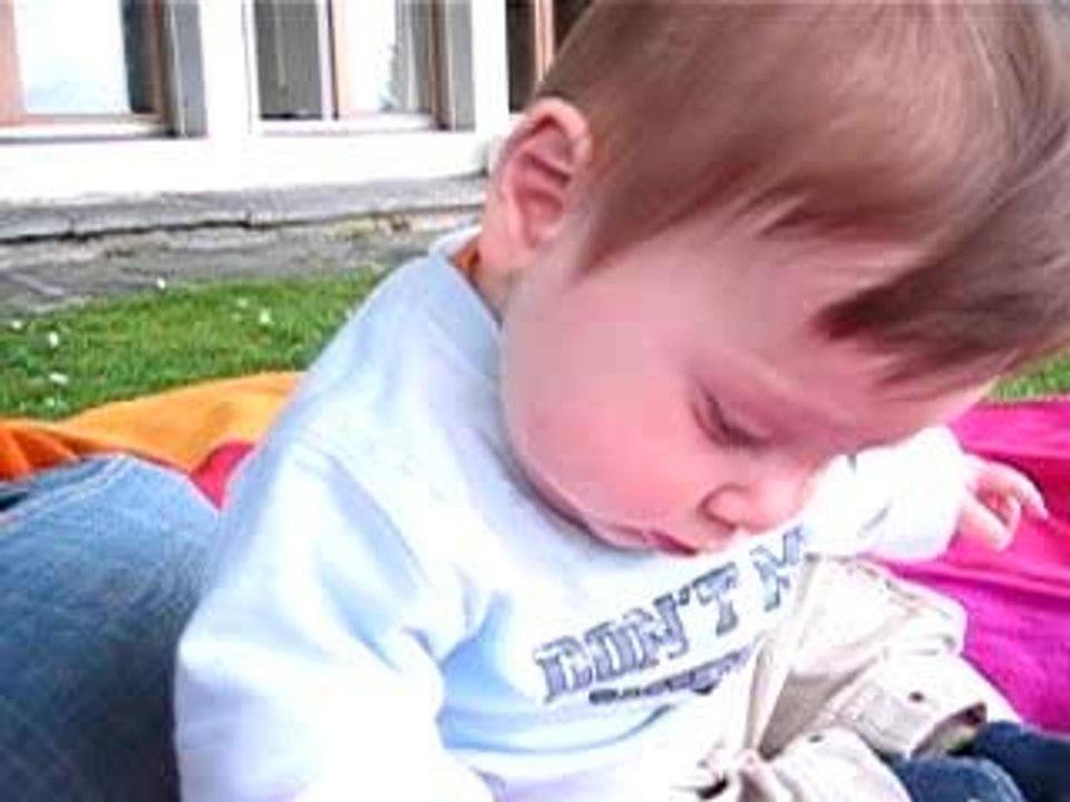 Ulysse dans le jardin