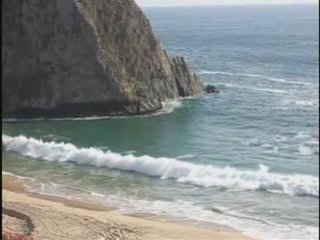 N12 Online Stock Trading Coach