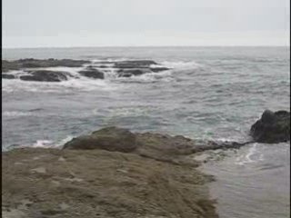 N14 Online Stock Trading Coach