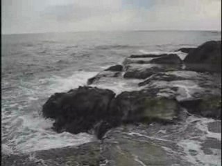 N15 Online Stock Trading Coach