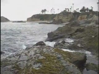 N18 Online Stock Trading Coach