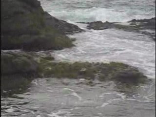 N16 Online Stock Trading Coach