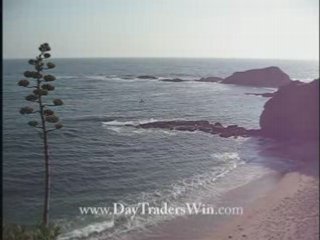 N23 Online Stock Trading Coach