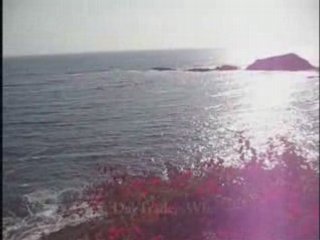 N24 Online Stock Trading Coach