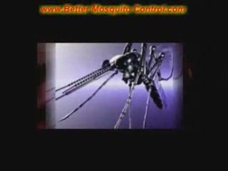 atlanta mosquito control