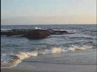 N29 Online Stock Trading Coach