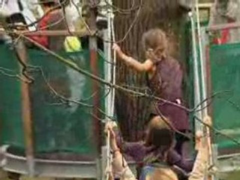 Forêt d'altitude à Rambouillet avec l'Odyssée verte ®