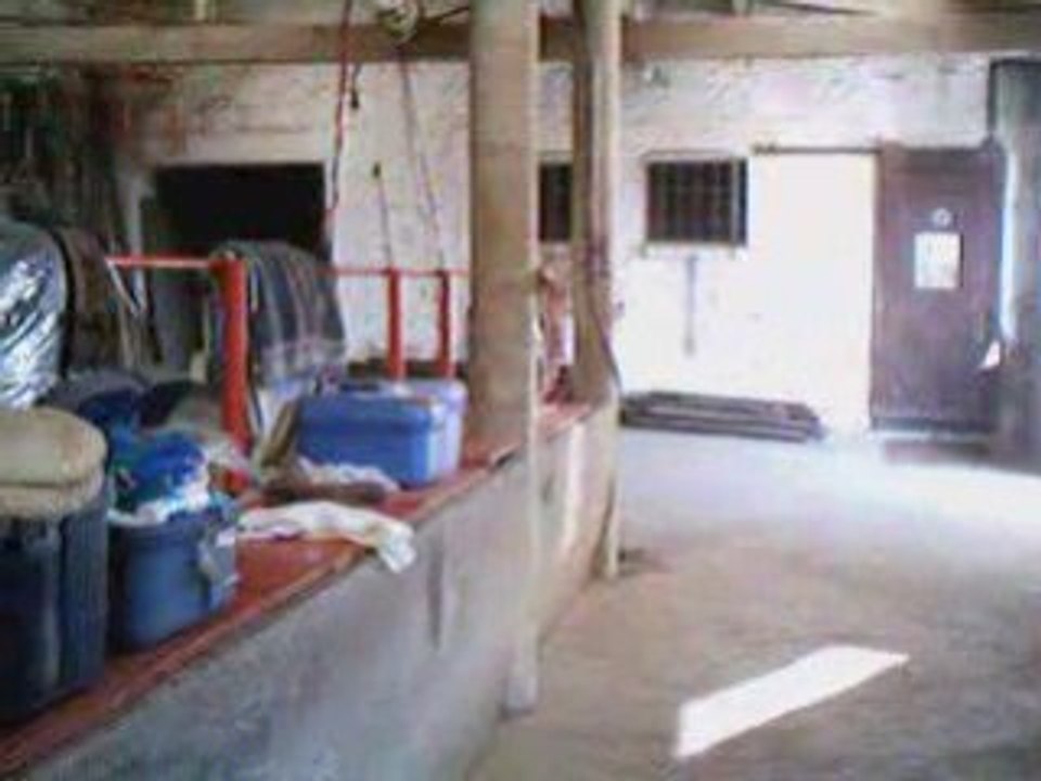 Sawsaw rênes longues