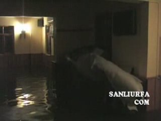 Camisualtinda www.sanliurfa.com