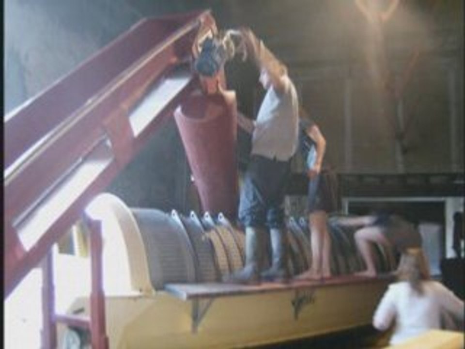 Vidéo vendanges