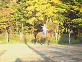 Athos Entrainé Par René Laquerre.