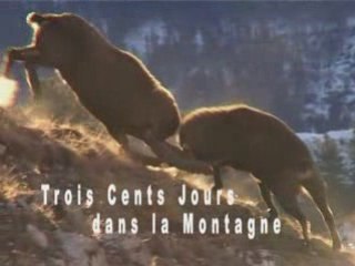 Trois cents Jours dans la Montagne