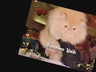 CRIADEROS SANDERS PRESENTA