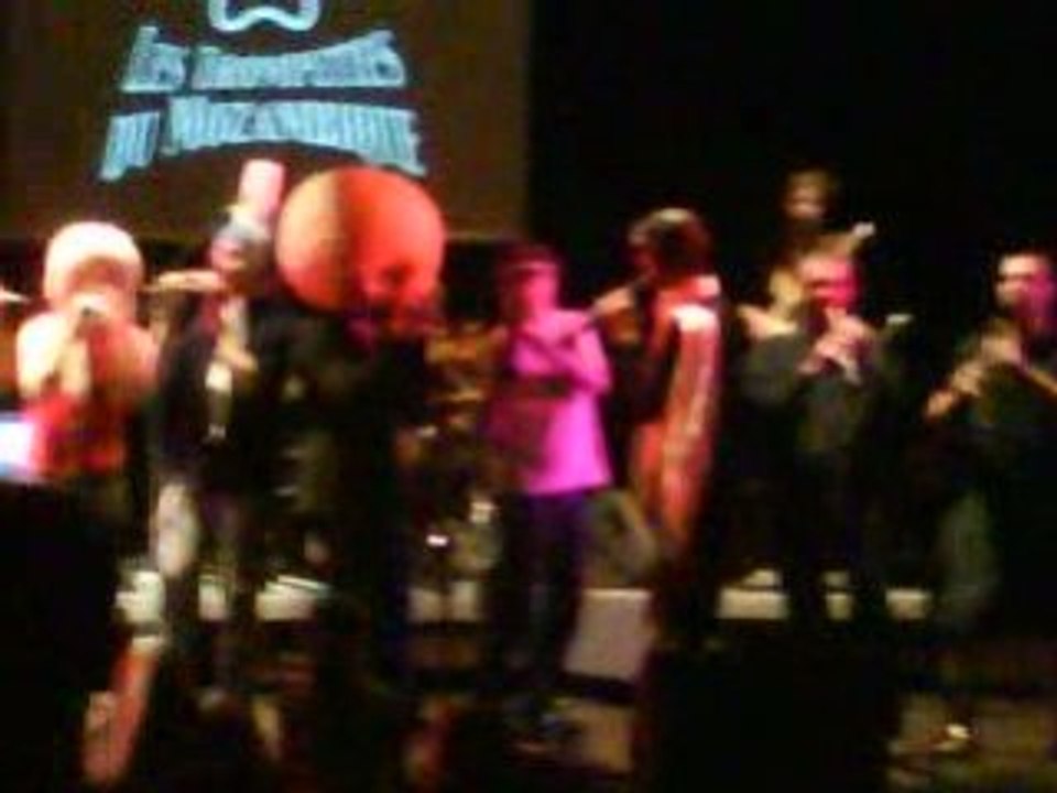 trompettes du mozambique