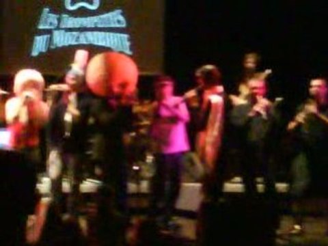 trompettes du mozambique