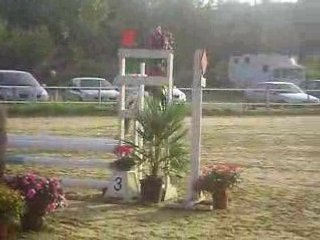 ma chute de cheval