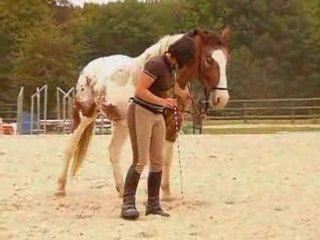 ballade corde et cirque mira et malcom