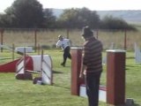 Agility (G.P.F. et Jumping Dieuze 2008 catégorie A)