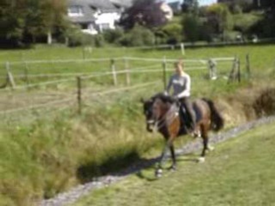 Odin au galop