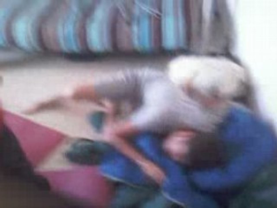 catch de chambre