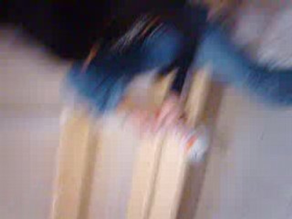 Marion, inès... Le temps passe vite !