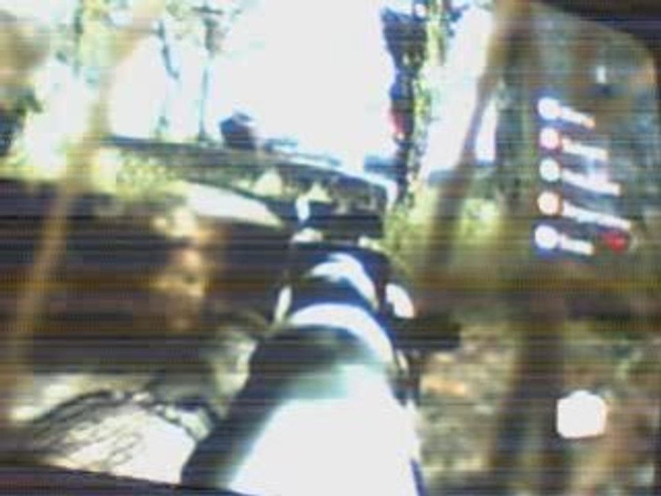 call of duty (2-4)