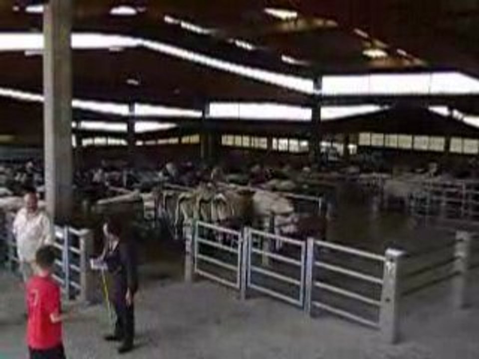 foire à St Christophe