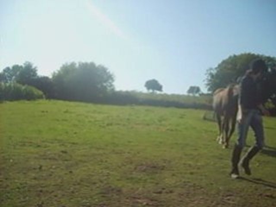Seance du 27-28 sept 2008
