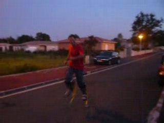 les échasses d'Alex