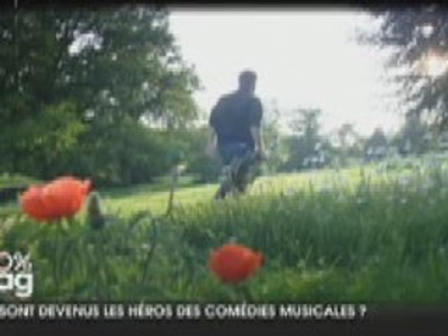 Les comédies musicales en france