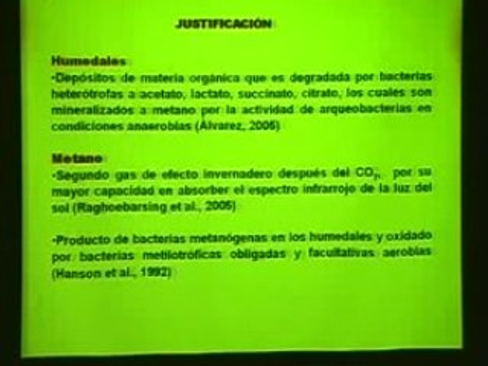 Bacteriasmetilotrofas
