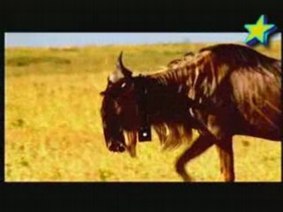 Le grand raid des gnous Ep3_3/3